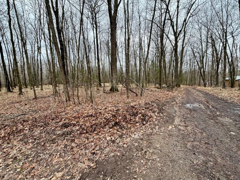 photo-002
