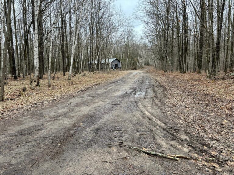 photo-004