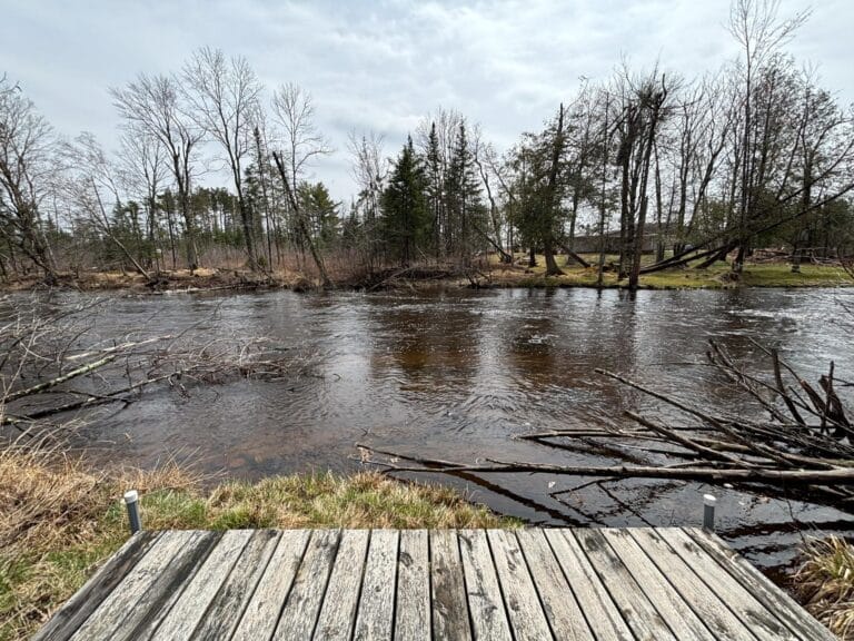 photo-008