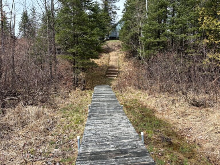 photo-035